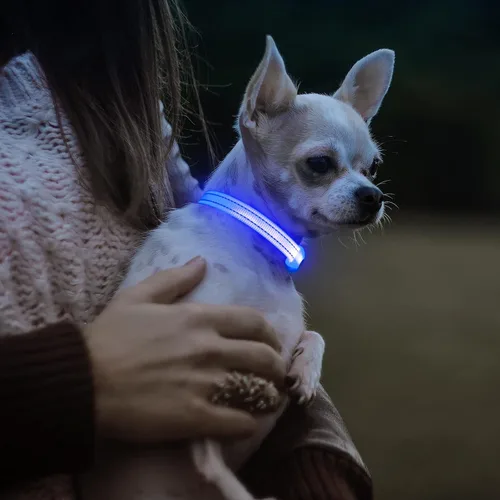 Miniatura 6 de Visinite Collares de perro iluminados para perros pequeños, collar de perro LED recargable con luz, collar de perro iluminado totalmente ajustable