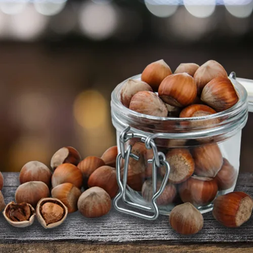Miniatura 9 de Presto Sales Filberts Avellanas frescas del árbol crudas en cáscara, Oregon, Estados Unidos, divertido de romper – 160 oz (10 libras) Bolsa práctica