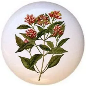 Miniatura 18 de Hierbas Especias Cocina Cocina Cocinar Hornear Hornear Decorativo Cerámica Cajón Tiradores Armario Perillas (pimienta de Jamaica)