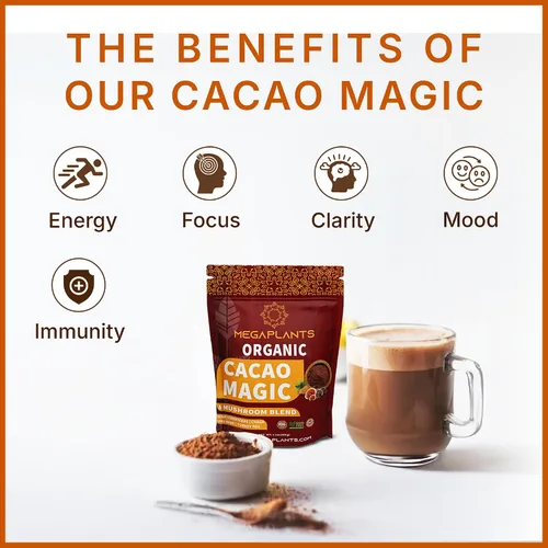 Miniatura 2 de MegaPlants Cacao Magic (50 porciones) Mezcla de superalimento de 5 hongos Melena de león, Reishi, Chaga, Cordyceps, Cola de Pavo Batido