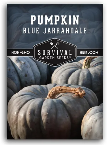 Blue Jarrahdale - Semillas de calabaza para plantar | Variedad de reliquia sin OMG con piel decorativa azul-gris y carne dulce para hornear,