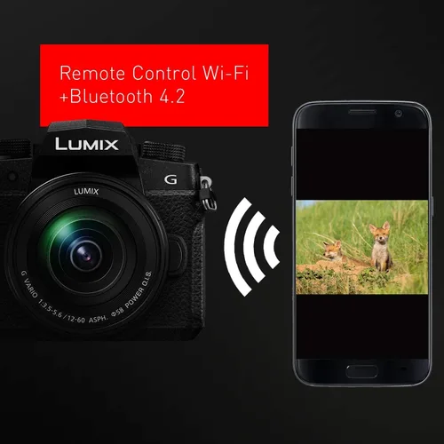 Miniatura 7 de Cámara digital Panasonic LUMIX G95D de 20.3 megapíxeles sin espejo, lente Micro Cuatro Tercios de 12-60mm F3.5-5.6, estabilización de imagen Dual