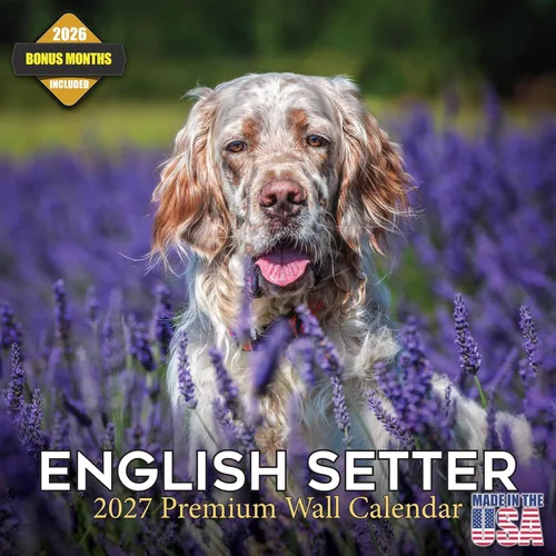 Miniatura 170 de Calendario 2025 2026 de cachorros Cocker Spaniel - Calendario mensual de pared de raza de perro - 12" x 24" abierto - Papel grueso sin sangrado