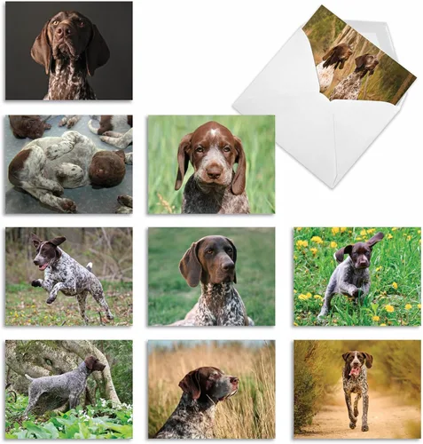 Miniatura 8 de The Best Card Company - 10 adorables tarjetas de perro en blanco (4 x 5.12 pulgadas) - Razas de mascotas surtidas, juego en caja - Adorables perros