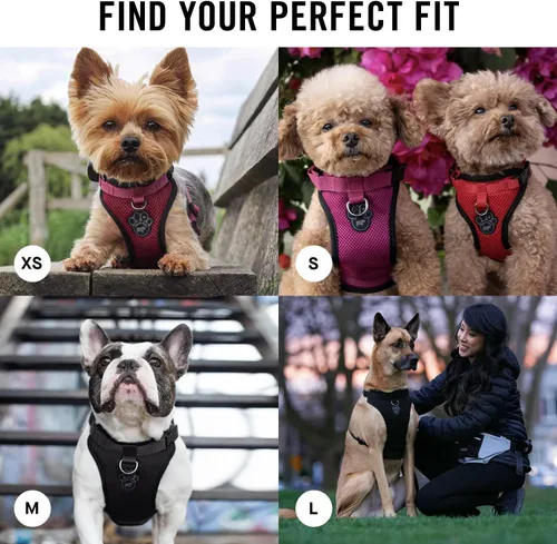 Miniatura 5 de Canada Pooch Arnés para perro Everything sin tirones, arnés fácil de caminar para perros con exterior de malla transpirable, arnés ajustable