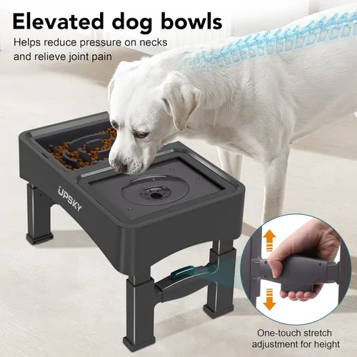 Miniatura 7 de UPSKY Cuencos Elevados para Perros 2-en-1 con Comedero Lento, Soporte con 4 Alturas Ajustables, Cuencos de Agua para Perros sin Derrame, Cuencos No