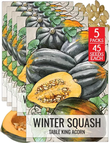 Miniatura 16 de Seed Needs Semillas de calabacín para plantar calabaza de verano Black Beauty, sin OMG, reliquia y sin tratar, rendimientos prolíficos de deliciosos