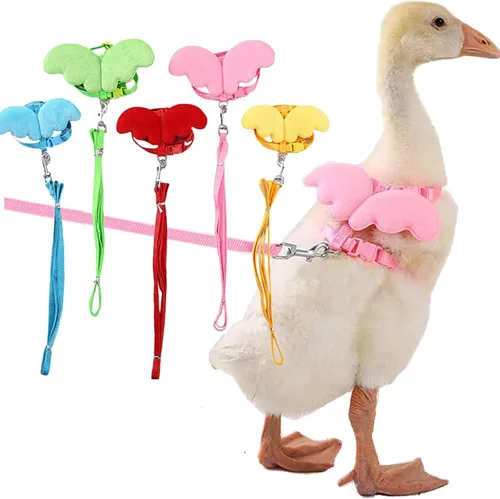 QBLEEV Pet Cole Duck - Arnés para caminar al aire libre, cuerda de tracción ajustable para entrenamiento al aire libre para gallina y gallina