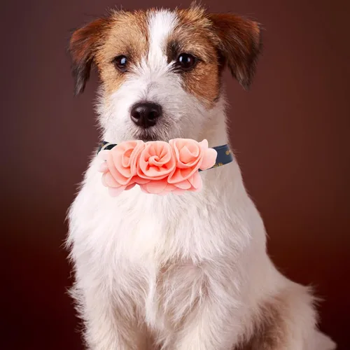 Miniatura 7 de Collar de perro de 4 o 6 o 20 piezas de flores grandes para mascotas, accesorios para collar de mascotas pequeñas, medianas y grandes, hembra, gato