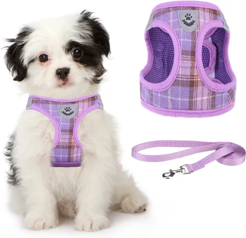 Miniatura 17 de Arnés de malla suave para cachorros – Juego de arnés y correa para perros pequeños, ajustable y cómodo chaleco reflectante acolchado para cachorros