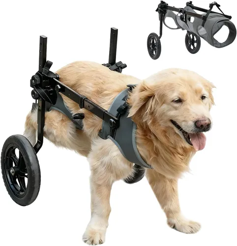 Miniatura 9 de Silla de ruedas para perros para patas traseras, carrito de ruedas ligero para perros con patas traseras para discapacitados, ajustable
