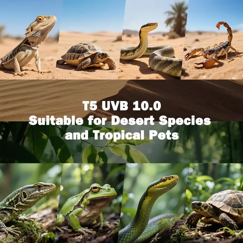 Miniatura 6 de Lámpara T5 10.0 UVB para reptiles, T5 UVA UVB Tubo de luz Blub 24W 22" para dragón barbudo, tortuga, lagartos del desierto, Gecko leopardo, lámpara