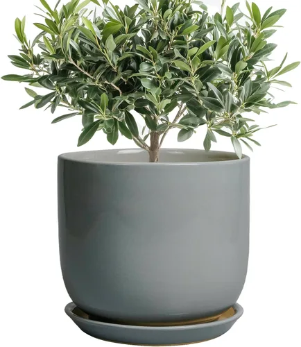 Miniatura 38 de Maceta de Cerámica para Plantas de Interior de 5 Pulgadas - Maceta Redonda para Plantas Suculentas con Agujero de Drenaje y Platillo, Decoración