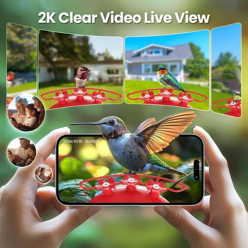 Miniatura 2 de Soliom Comedero de colibríes con cámara, comedero inteligente para pájaros con vista en vivo 2K, identificación de especies AI, a prueba de fugas