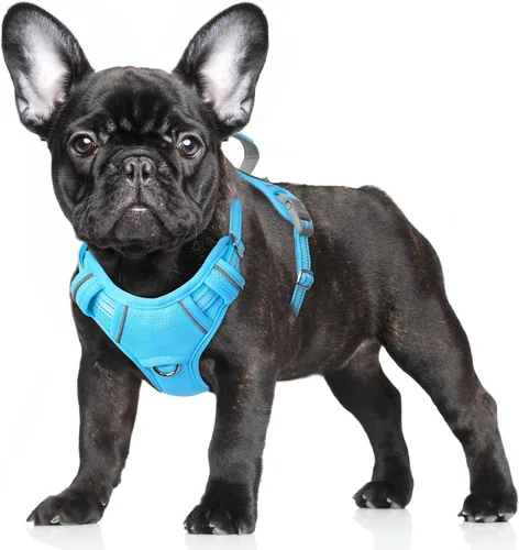 Miniatura 33 de BARKBAY Arnés para Perro Sin Tirones Talla Grande Arnés Reflectante para Perro con Clip Frontal y Asa de Control Fácil para Caminar Entrenar Correr
