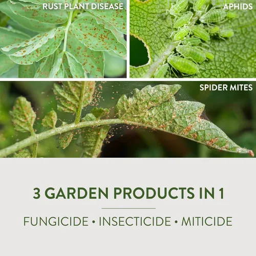 Miniatura 4 de Garden Safe Fungicida 3 32 Oz. Fungicida en aerosol de gatillo listo para usar - 1 cada uno