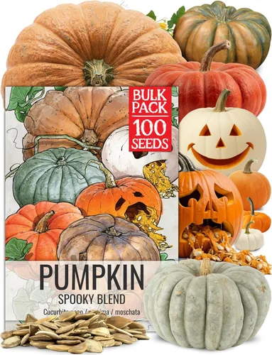 Seed Needs Semillas de calabaza para plantar mezcla espeluznante especial | Más de 10 variedades premium Lumina White, Baby Boo, Blue Jarrahdale,