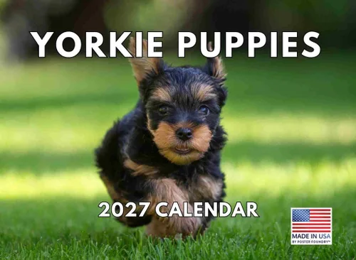 Miniatura 196 de Calendario de pared mensual 2025 Great Dane de 12 meses, fabricado en Estados Unidos
