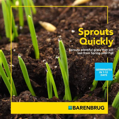 Miniatura 5 de Barenbrug Wonderlawn Landscaper - Mezcla de semillas de césped multiusos de 15 libras, cubre 3,000 pies cuadrados