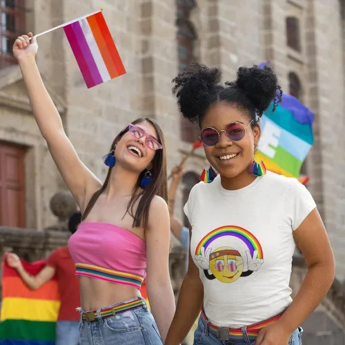 Miniatura 6 de Bandera Lesbiana Pequeña Mini Banderas de Orgullo Lésbico de Mano en Palos para Desfiles Fiestas Festivales Decoraciones Bandera de mano lesbiana