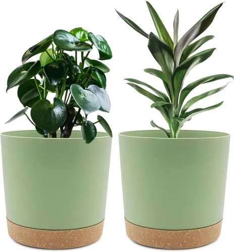 Miniatura 10 de QCQHDU Maceta de 8 pulgadas, paquete de 2 macetas para plantas de interior con agujeros de drenaje y platillo, macetas para exteriores, decoración