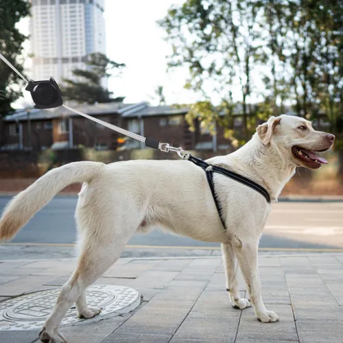 Miniatura 5 de Alipis Correa retráctil automática para perro, cuerda de tracción telescópica de gran tamaño, mango cómodo para caminar, trotar, senderismo