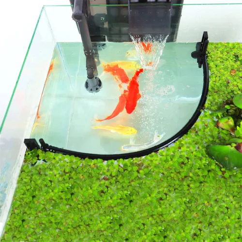 HOZOE Jaula Flotante para Plantas de Acuario, Plantas Flotantes que Impiden el Paso de Filtros y Calentadores, Altura Ajustable con Nivel de Agua,