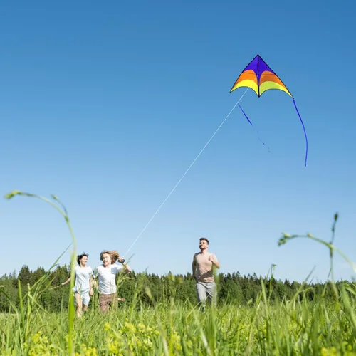 Miniatura 5 de Large Rainbow Delta Kite for Kids & Adults,Single Line Beach Kite for Kids Ages 4-8 & 8-12,Easy to Fly for Toddlers and Beginners