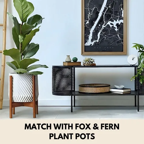 Miniatura 5 de Fox & Fern Soporte Grande Ajustable para Plantas de Interior — 11 a 15 Pulgadas, Soporte Premium de Bambú Estilo Moderno de Mediados del Siglo