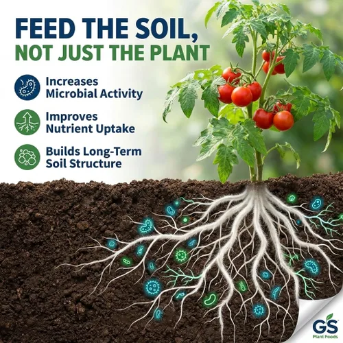Miniatura 5 de GS Plant Foods Fertilizante Líquido de Pescado y Algas Kelp (1 Galón) – Alimento Vegetal Natural Listado por el Instituto de Revisión