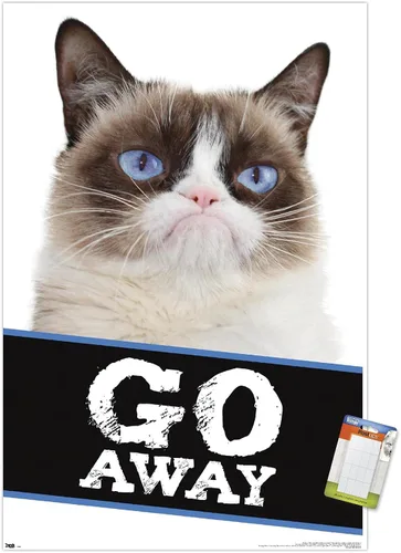 Miniatura 11 de Trends International Grumpy Cat - Póster de pared con texto en inglés «Go Away», 14.725 x 22.375 pulgadas, versión enmarcada de madera de granero