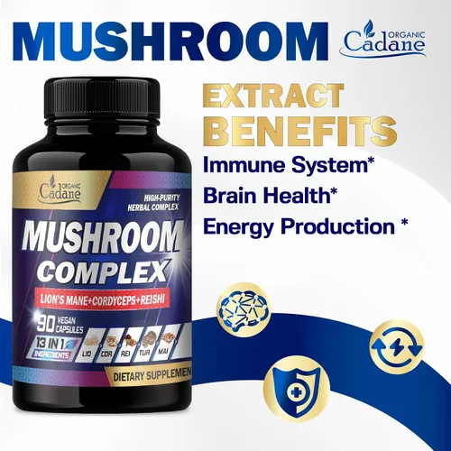 Miniatura 4 de Organic Cadane Suplementos de complejo de hongos – Salud cerebral, sistema inmunológico, memoria y producción de energía – 13 en 1 con hongos melena