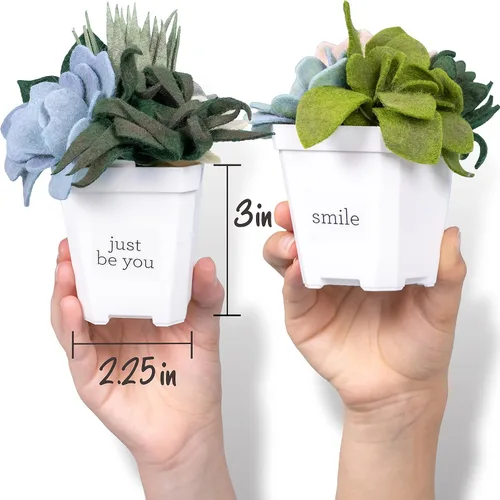 Miniatura 3 de Hapinest Kit de manualidades de suculentas de fieltro en maceta para adultos, mujeres, adolescentes y personas mayores, artes y manualidades