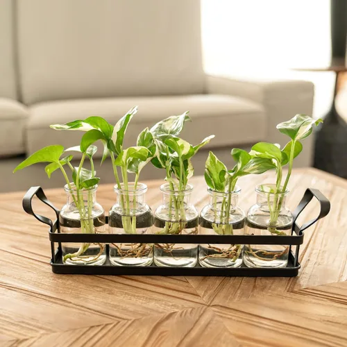 Miniatura 6 de Mkono Estaciones de propagación con soporte de metal, plantas de escritorio, terrario de vidrio, jarrón para plantas hidropónicas, corte de flores