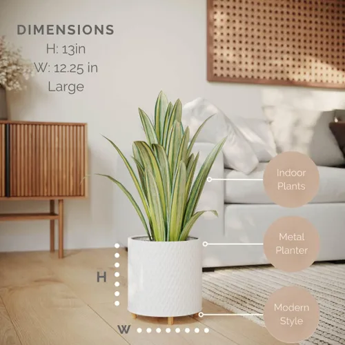 Miniatura 2 de EverNest Claire Modern Maceta de interior con soporte, patrón blanco, 12 pulgadas, base selectBase, estilo moderno neutro de mediados de siglo