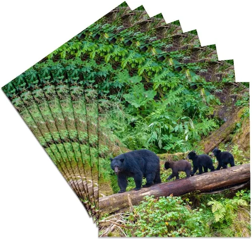 Miniatura 8 de 3dRose Black Bear Triplets Follow mom at ANAN Creek. Set of 4 Coasters - Soft