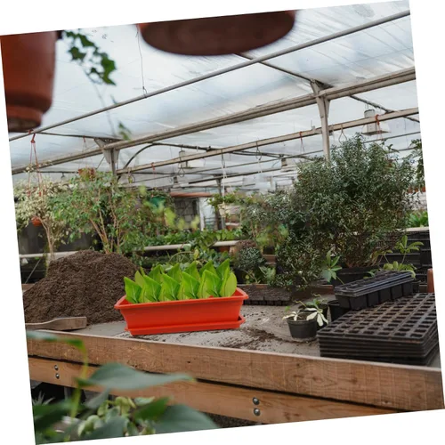 Miniatura 8 de Yardwe Contenedor de planta suculenta Rectángulo de plástico Maceta de vegetales Caja con drenaje Decoración de jardín