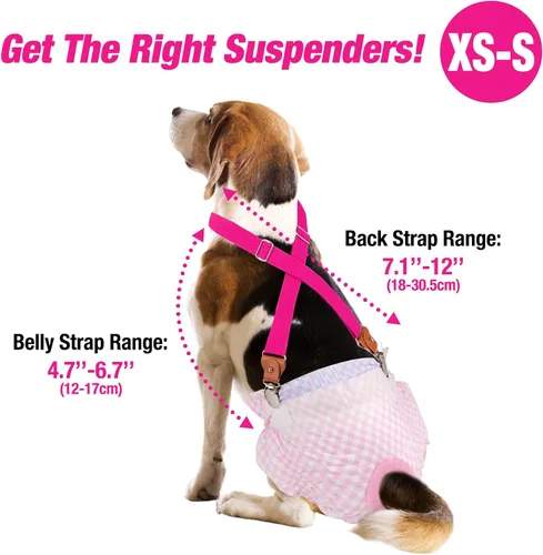 Miniatura 4 de Pet Soft Tirantes para perro, 2 piezas, tirantes para pañales para perros, falda para perros, vestido para perrito (café y borgoña, XS/S)