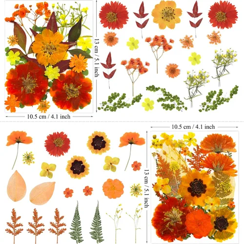 Miniatura 6 de MIKIYA 90 piezas de flores secas prensadas de otoño para resina, hojas florales secas de color naranja natural a granel para manualidades, moldes