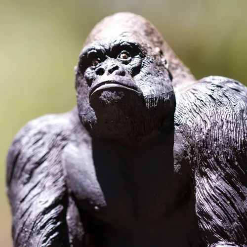 Miniatura 4 de Safari Ltd. Silverback - Figura realista de gorila de 6.25 pulgadas, juguete educativo para niños, niñas y niños a partir de 1 año