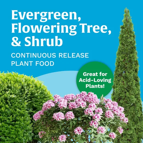 Miniatura 3 de Scotts Evergreen - Alimento vegetal de liberación continua para árboles en flor y arbustos, 3 libras
