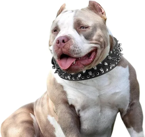 Miniatura 5 de PU - Collar para perro de piel sintética ajustable de 2.0 in, tachonado con clavos, Negro