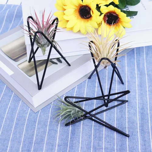 Miniatura 2 de Paquete de 4 soportes para plantas de aire, base Tillandsia, soporte geométrico moderno de metal para plantas de aire, estante de exhibición