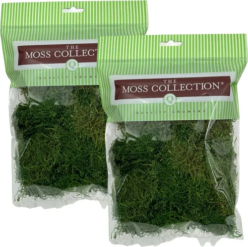 Miniatura 15 de Musgo de hoja preservado - Musgo decorativo natural - Musgo seco para manualidades, decoración del hogar, proyectos de arte, diseño y bricolaje - No