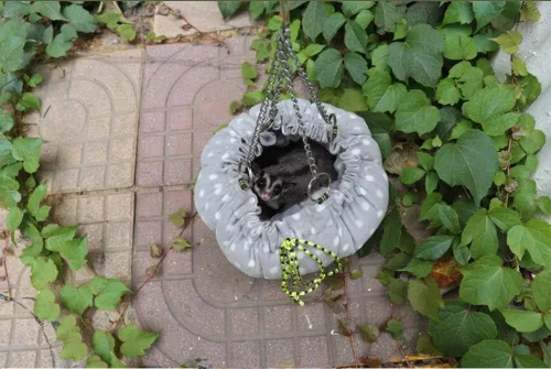 Miniatura 5 de Oncpcare Hamaca de jaula de animales pequeños, hamaca de flor, jaula de conejillo de indias, cama cálida para loro planeador de azúcar, hurón