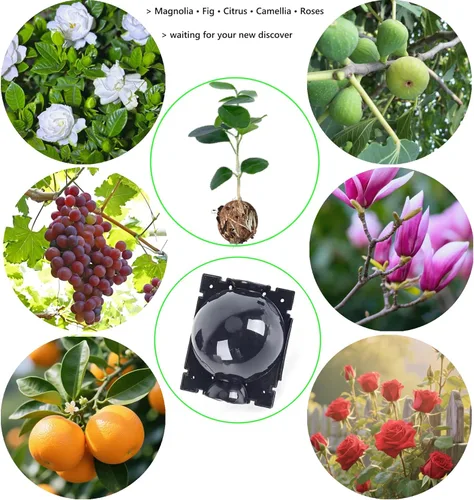 Miniatura 7 de Caja de cultivo de raíces de árbol: cápsulas de propagación de capas de aire para plantas leñosas, dispositivo de enraizamiento transparente