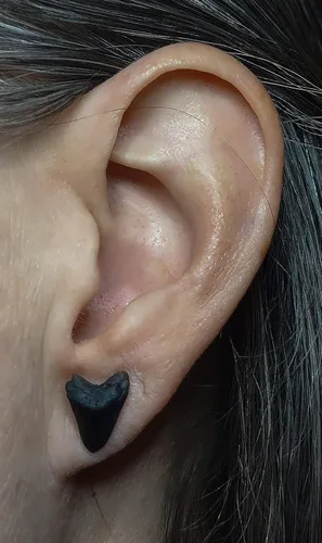 Miniatura 3 de Aretes simples de diente de tiburón para hombres/mujeres/niños de resina polimérica a base de plantas (joyería vegana)