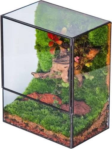 NCYP Terrario de Vidrio Cerrado con Puerta - 7.8 x 5.1 x 9.8 Pulgadas Maceta Geométrica de Paisajismo Transparente para Plantas Suculentas - Centro
