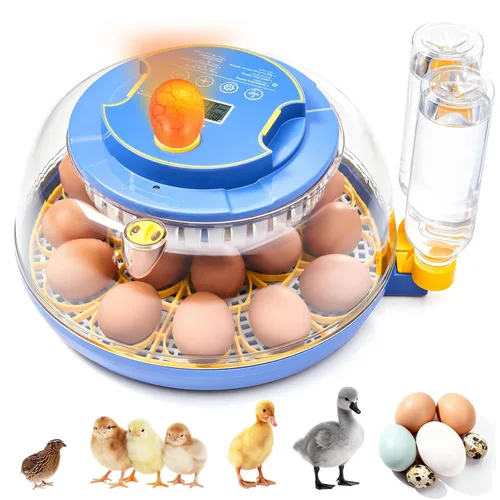 Incubadoras para incubar huevos - Capacidad para 18 huevos, incubadora de huevos con giro automático de huevos y control de temperatura, incubadora