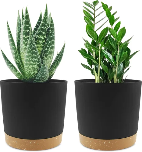 QCQHDU Maceta de 6.5 pulgadas, paquete de 2 macetas para plantas de interior con agujeros de drenaje y platillo, macetas para exteriores, decoración